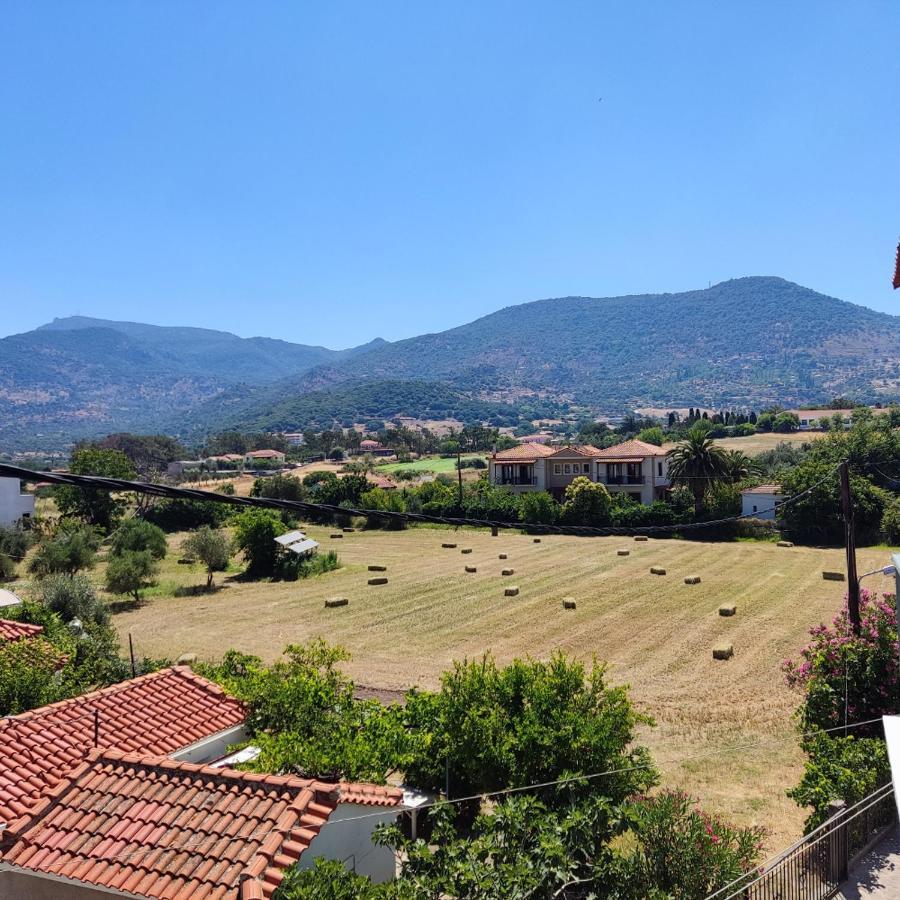 Hotel Ilion Petra (Lesbos) Exterior foto